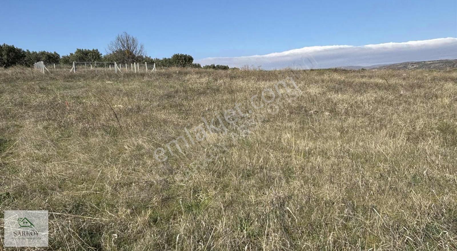 Mürefte'nin En Güzel Deniz Manzaralı En Ön Cephe Arsası 270 M² - Görsel 5