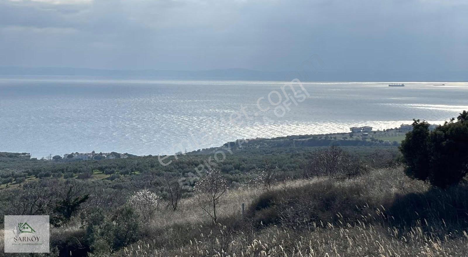 Mürefte'nin En Güzel Deniz Manzaralı En Ön Cephe Arsası 270 M² - Görsel 12