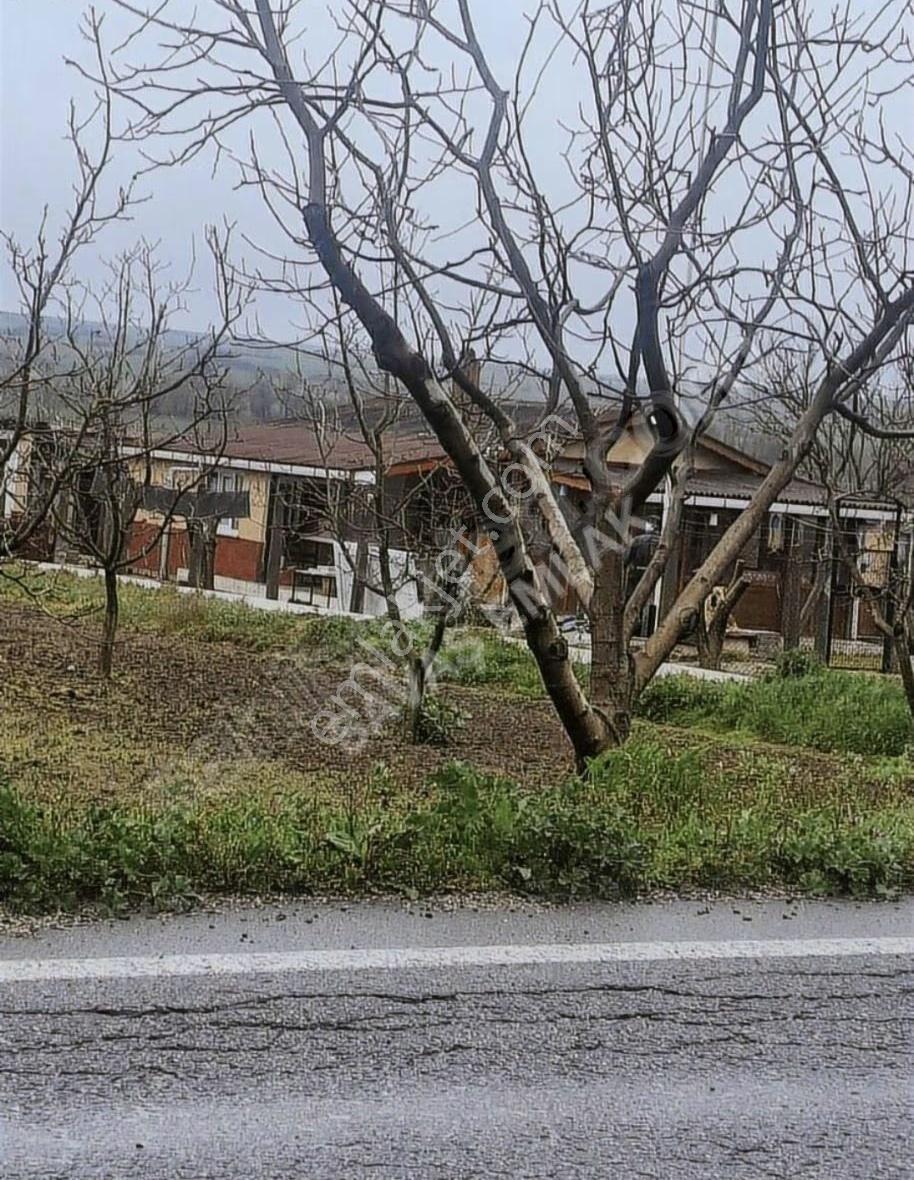 Savaş Emlak'tan 10.769 Müstakil Tarla - Görsel 6