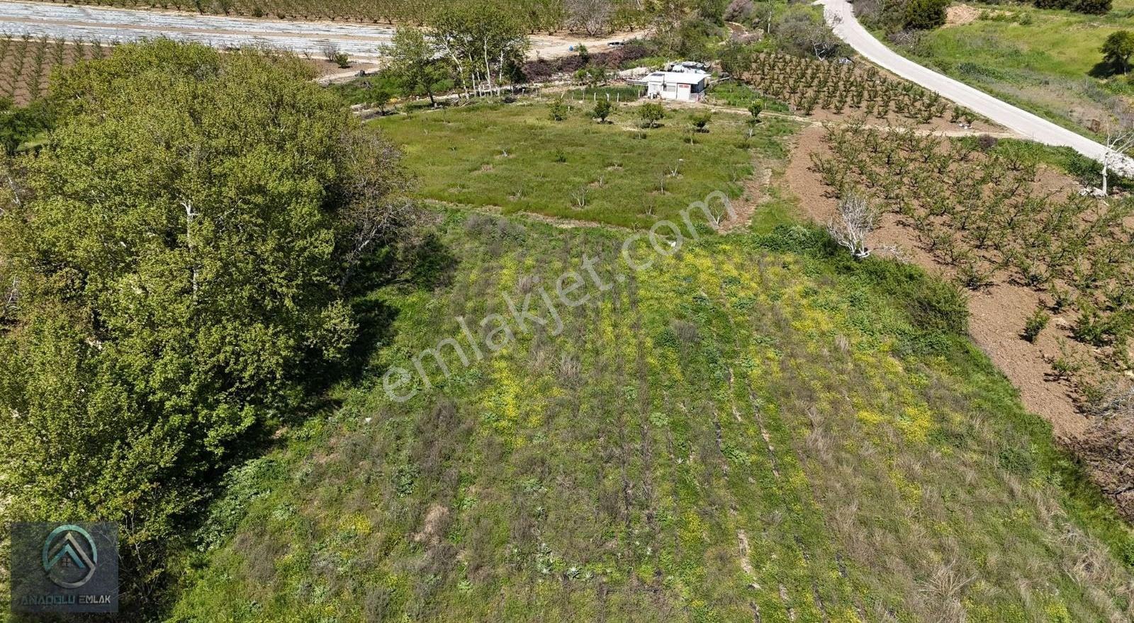 Çanakkale Merkez Aşağıokçular Yolu Olan Tarla - Görsel 5