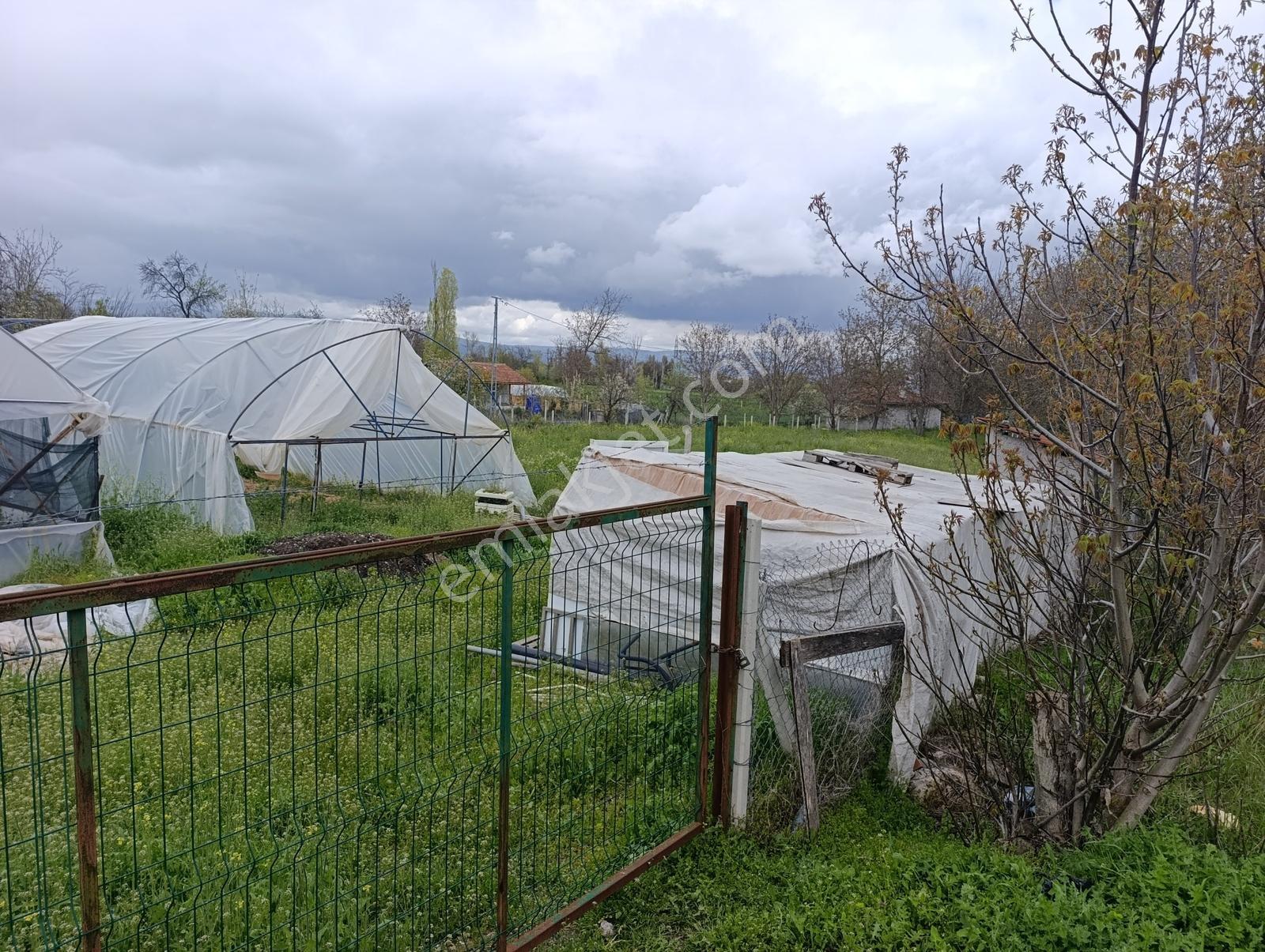Çorum Merkez Altınbaş Köyünde 8 Adet Satılık Hazır Kurulu Sera - Görsel 8