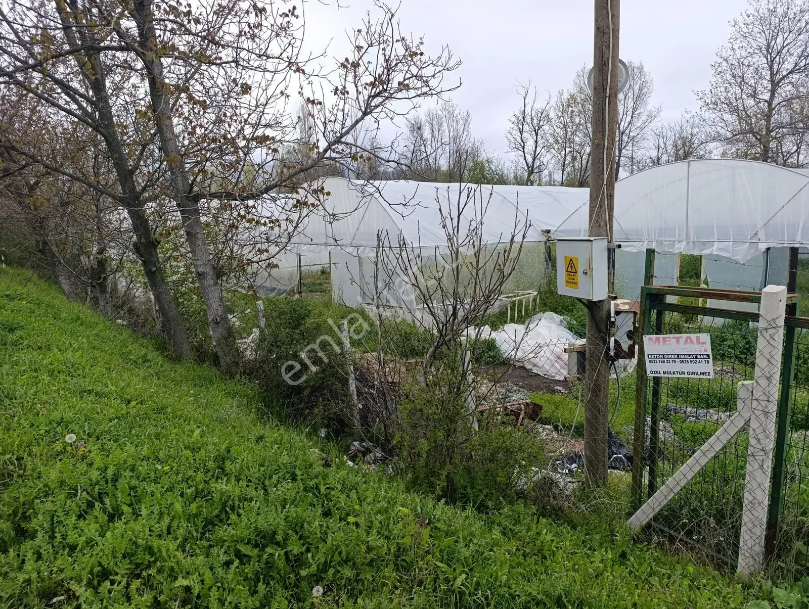 Çorum Merkez Altınbaş Köyünde 8 Adet Satılık Hazır Kurulu Sera - Görsel 6