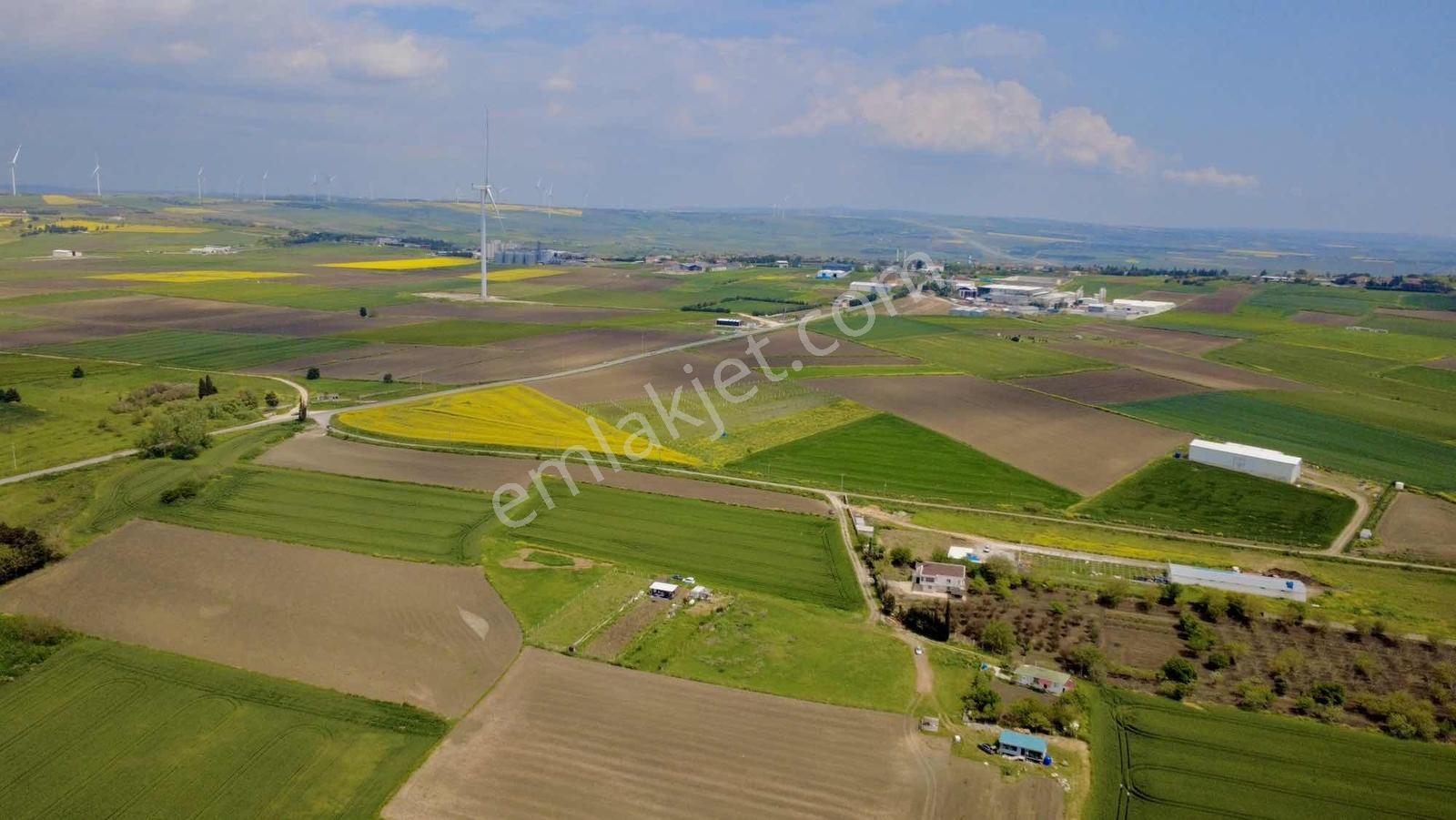 Silivri Fenerköyde Satılık 900 M² Hobi Bahçesi - Görsel 7