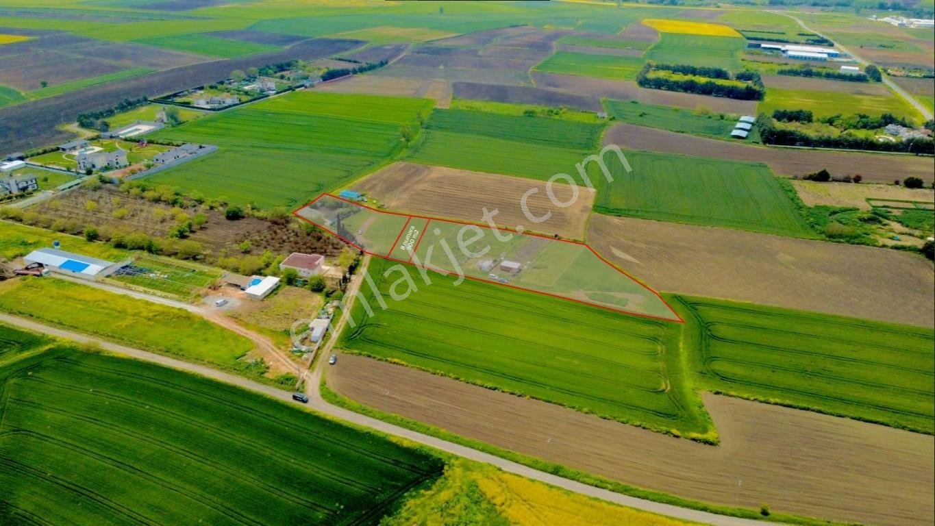 Silivri Fenerköyde Satılık 900 M² Hobi Bahçesi - Görsel 15