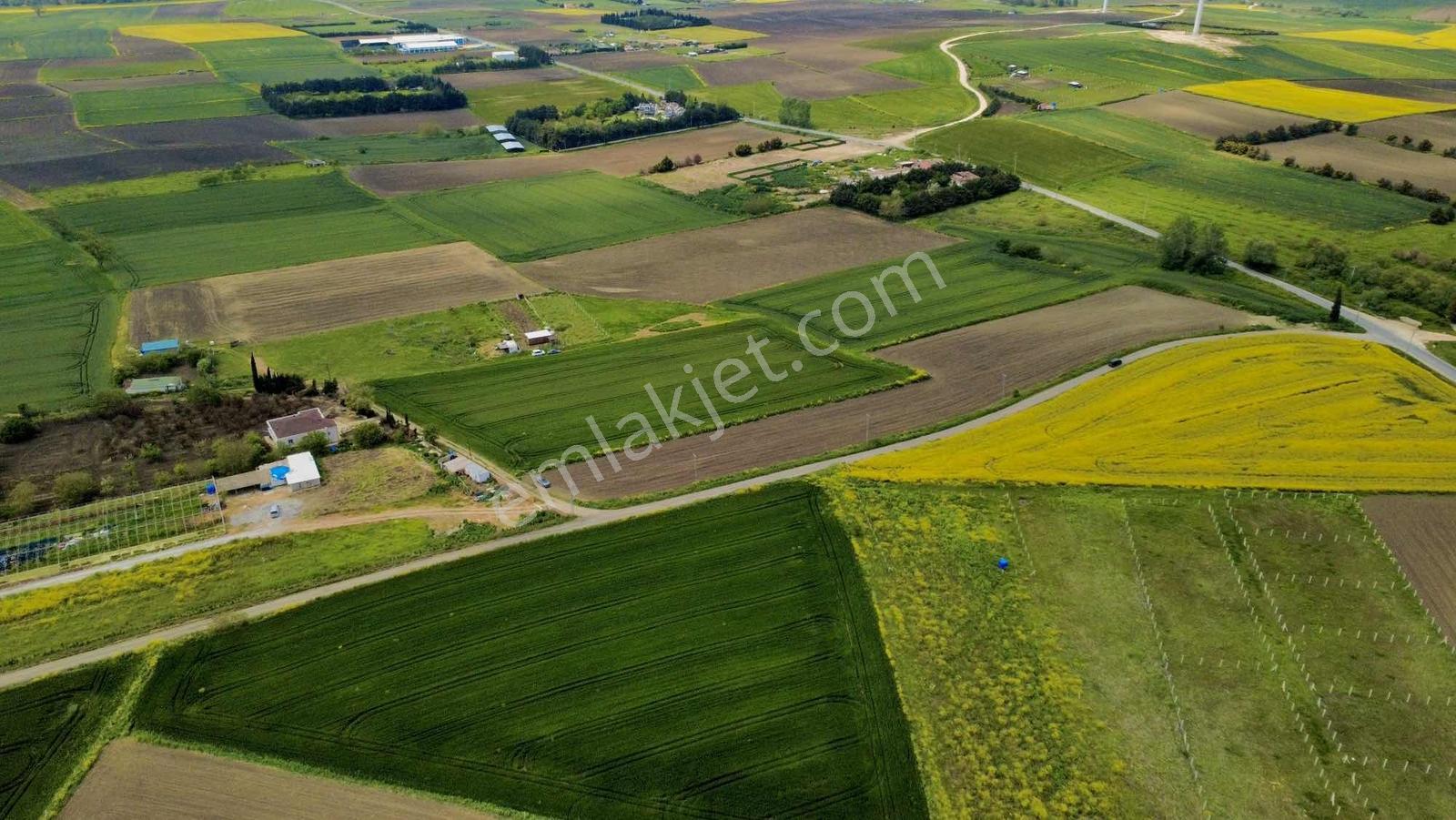 Silivri Fenerköyde Satılık 900 M² Hobi Bahçesi - Görsel 11