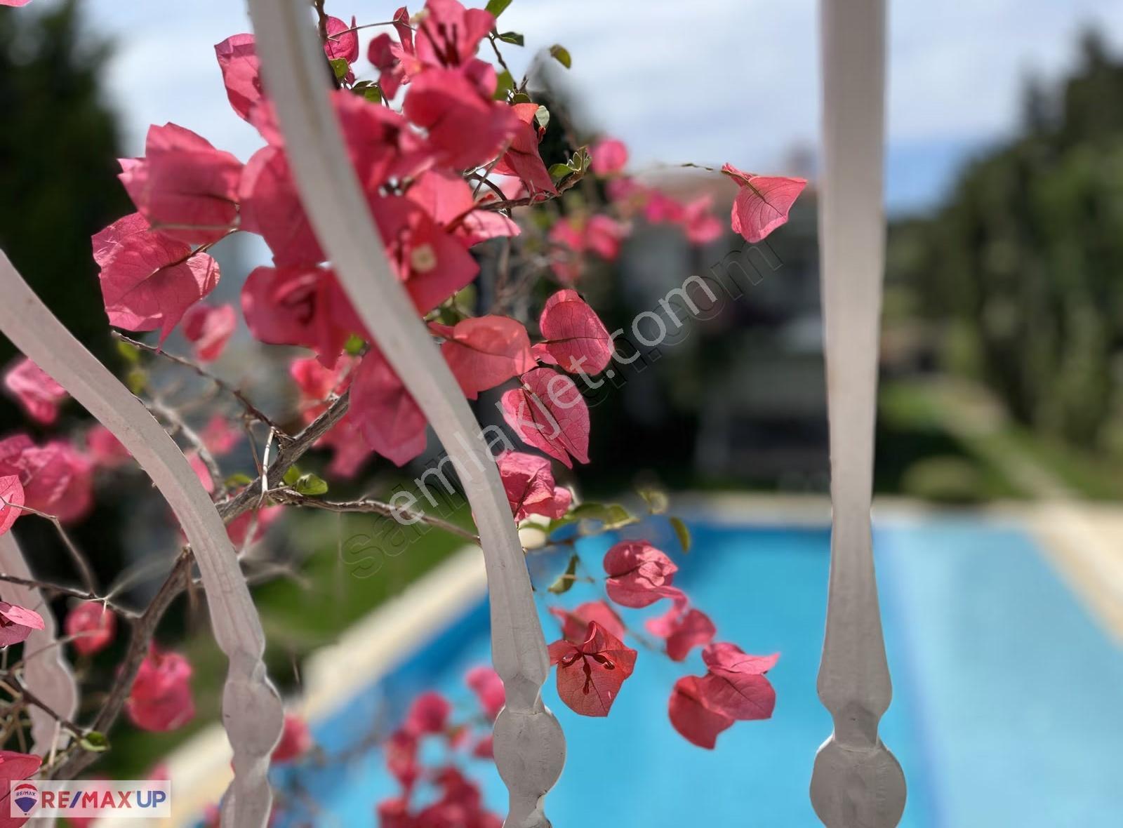 Sezonluk Kiralık Daire Belirtilen Fiyat Aylık Değil, 3 Aylıktır - Görsel 14