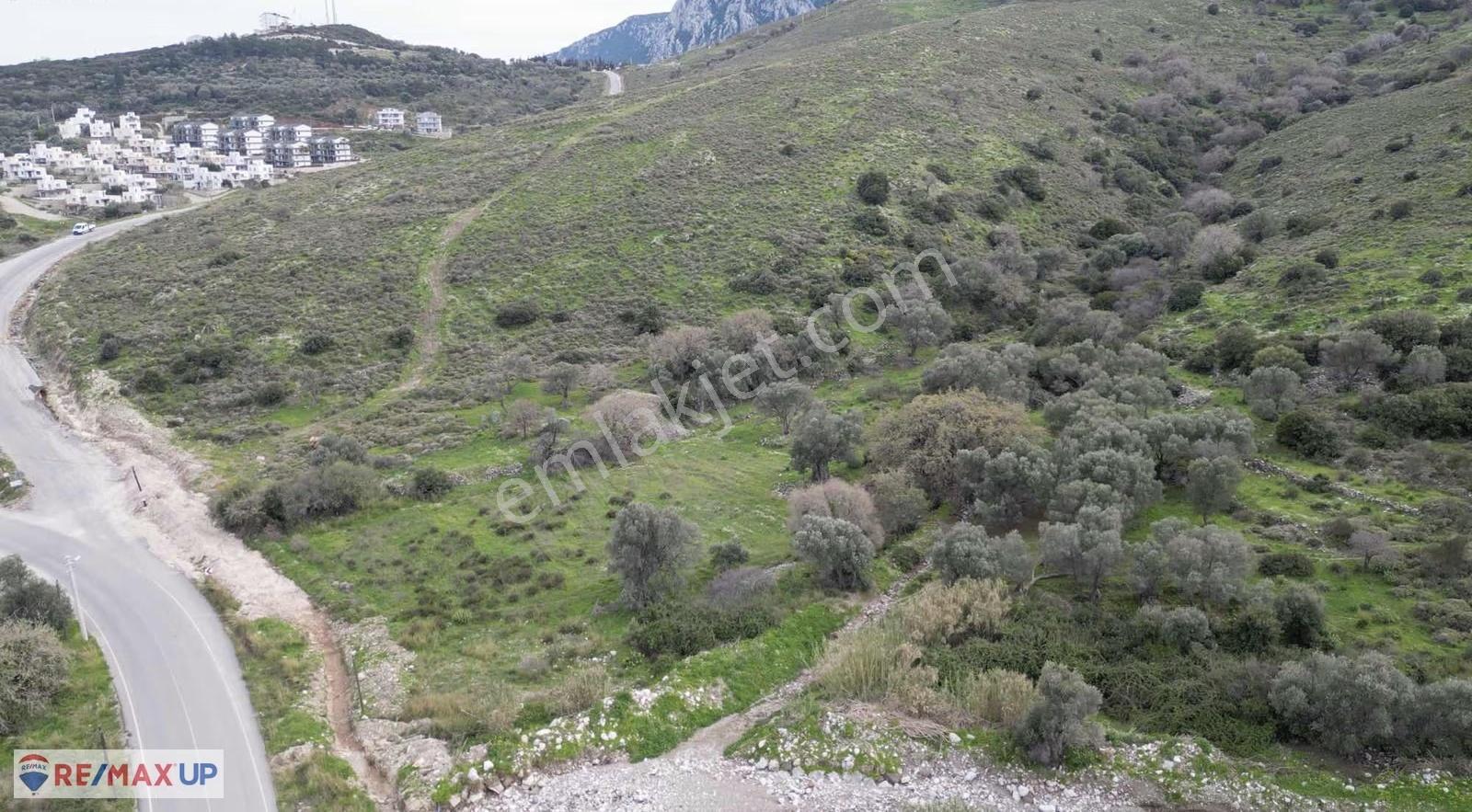 Karaburun Kuyucakta Kaçırılmayacak Tarla Fırsatı - Görsel 6
