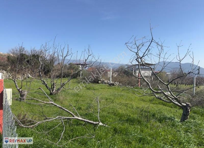 Vişneli'de Köyiçi İmarlı Resmi Elektrik&su 300 M² Arsalar - Görsel 8