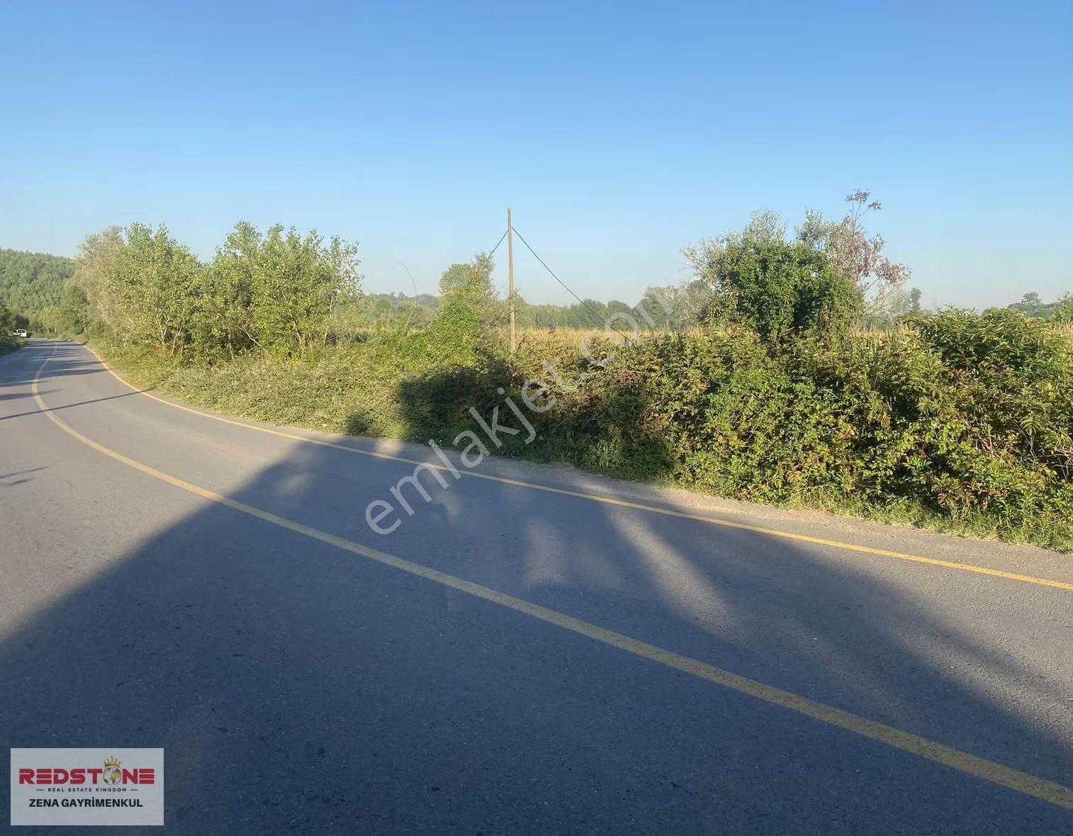 Sakarya Hendek Sivritepe Köyünde Satılık Tarla - Görsel 5