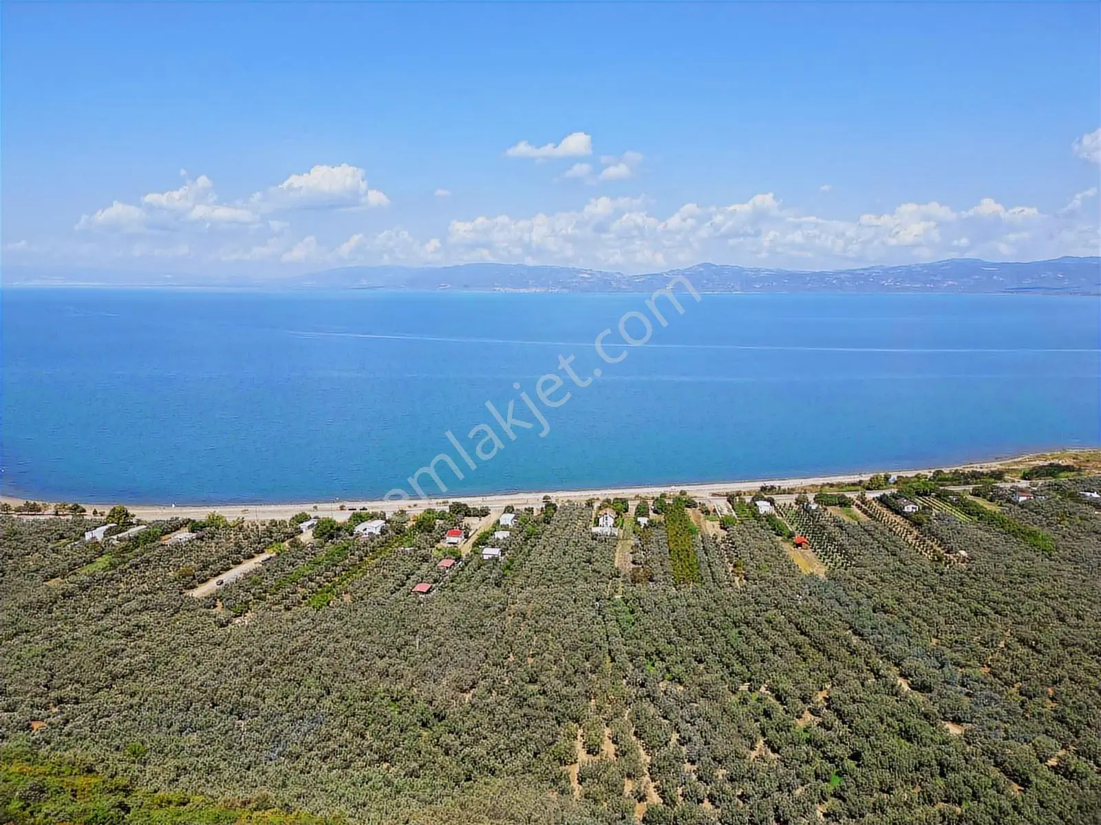 İznik Aydınlar Köyünde Asfalt Cephe Müthiş Manzaralı Zeytinlik - Görsel 2