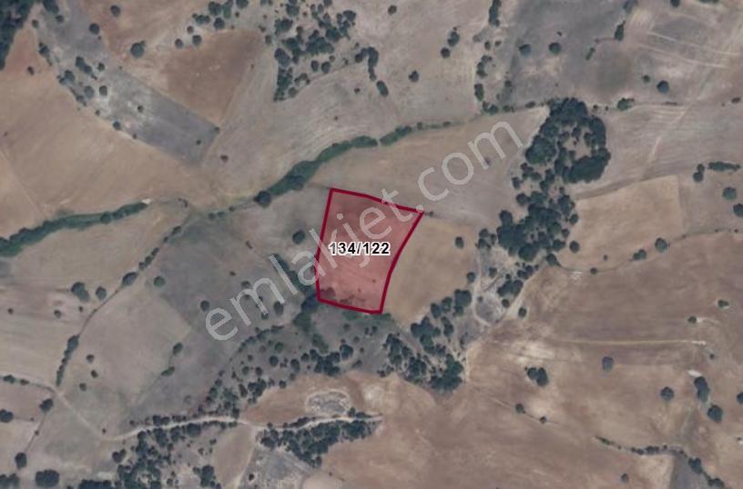 Varlı Kent'ten Kütahya'da 5742 M2 Müstakil Tapu Yatırımlık Tarla
