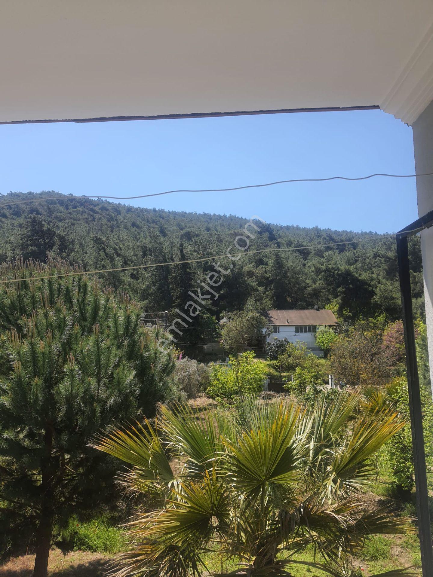 Kuşadası Kirazlı Köyü'nde Satılık 4+2 Çiftlik Evi