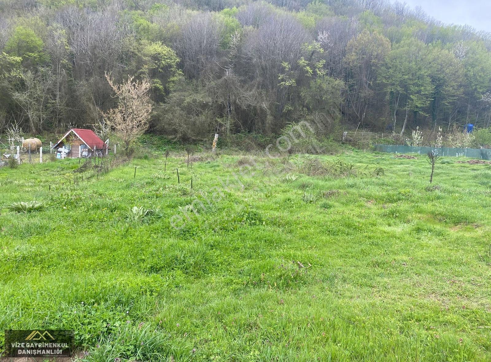 Vize Küçükyayla Köyünde 413 M2 Müstakil Satılık Bahçe - Görsel 3