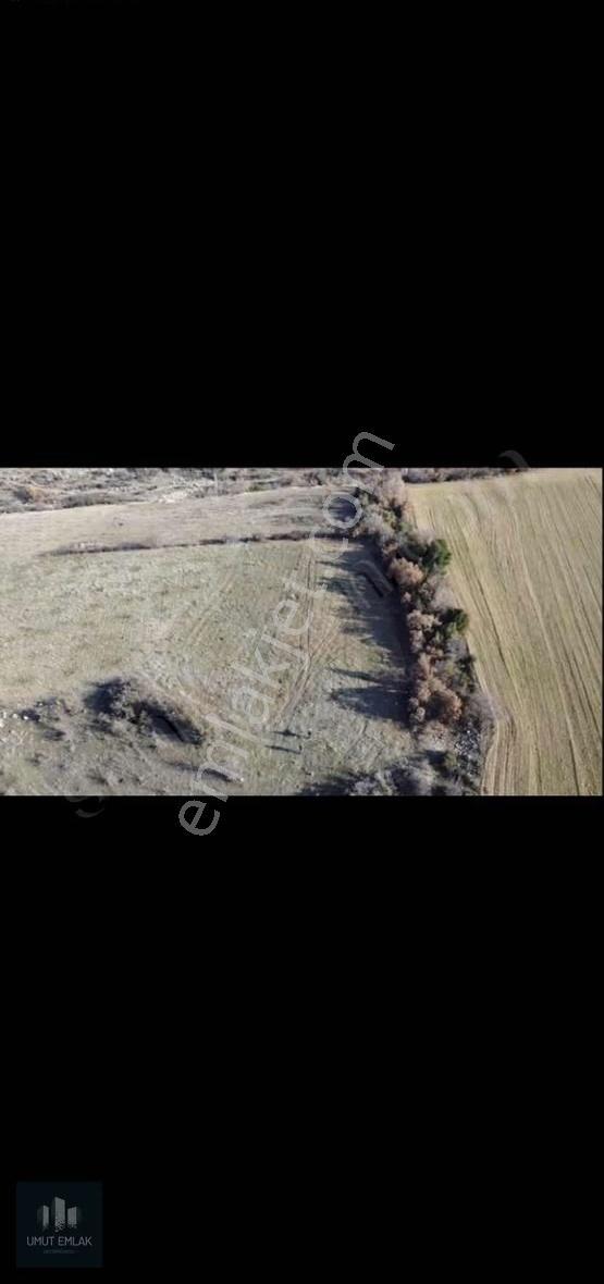 Araç Takasına Açık Çal Mahmutgazi Satılık 2135m2 Tarla - Görsel 6