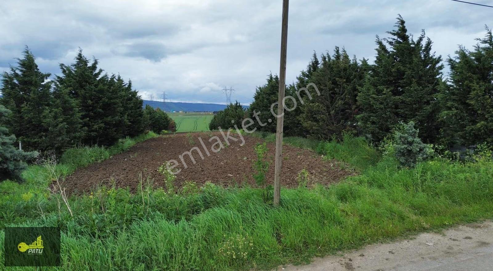 Patu Emlak'tan Çatalca İzzettin Mah.'de Satılık 5442m2 Tarla - Görsel 4