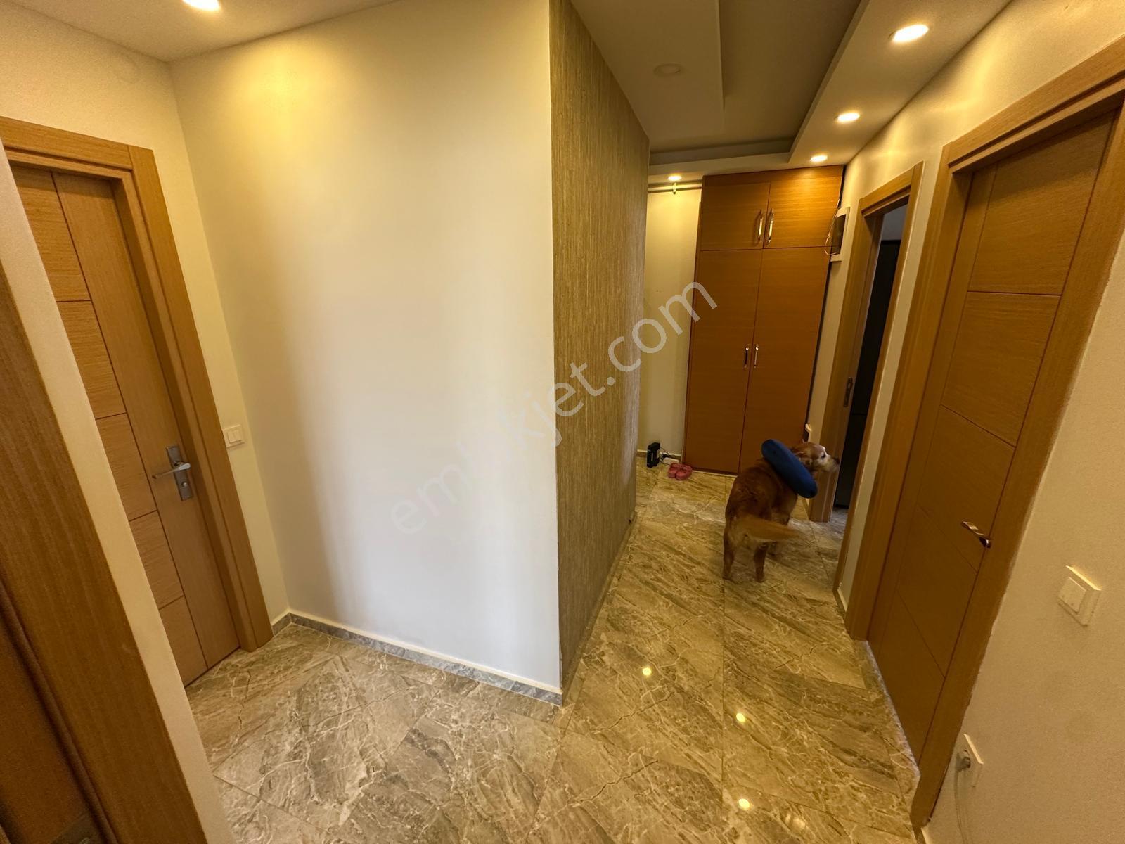 ▃artemin▃küçükyalı Marmaray'a Yakın Ön Cephe 200m² 4+2 Dubleks! - Görsel 12