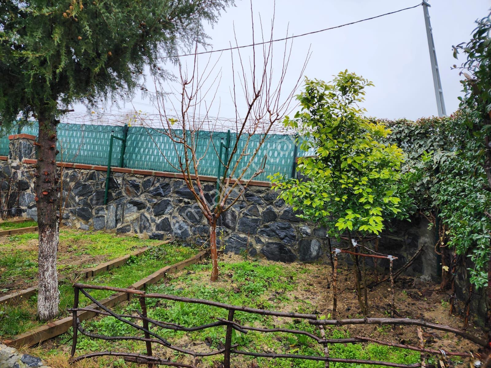 Balcıoğlunda Arnavutköy Tayakadında Acil Satılık İçinde Resmi Yapı Bulunan Hisseli Arsa - Görsel 26