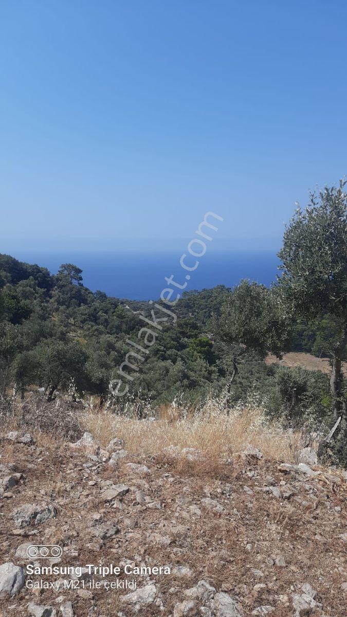 Dalaman Kapıkargın Mah,10,500m2 Arazi