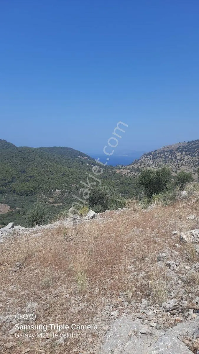 Dalaman Kapıkargın Mah,10,500m2 Arazi - Görsel 4