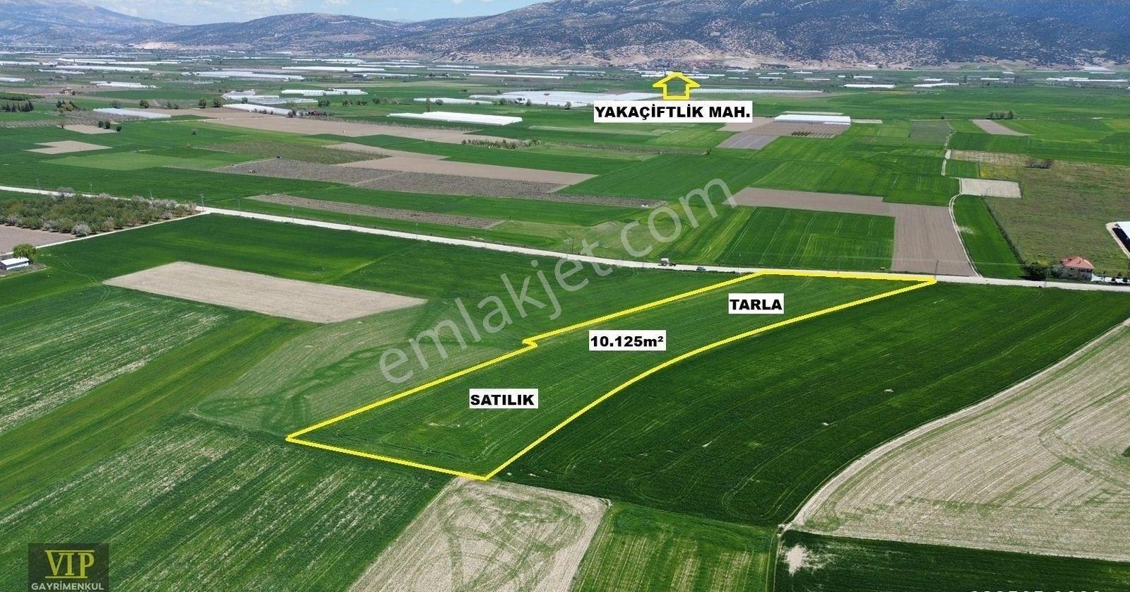Vip Gayrimenkul'den Karamık Bayralar Asfaltyol Cepheli Tarla - Görsel 8