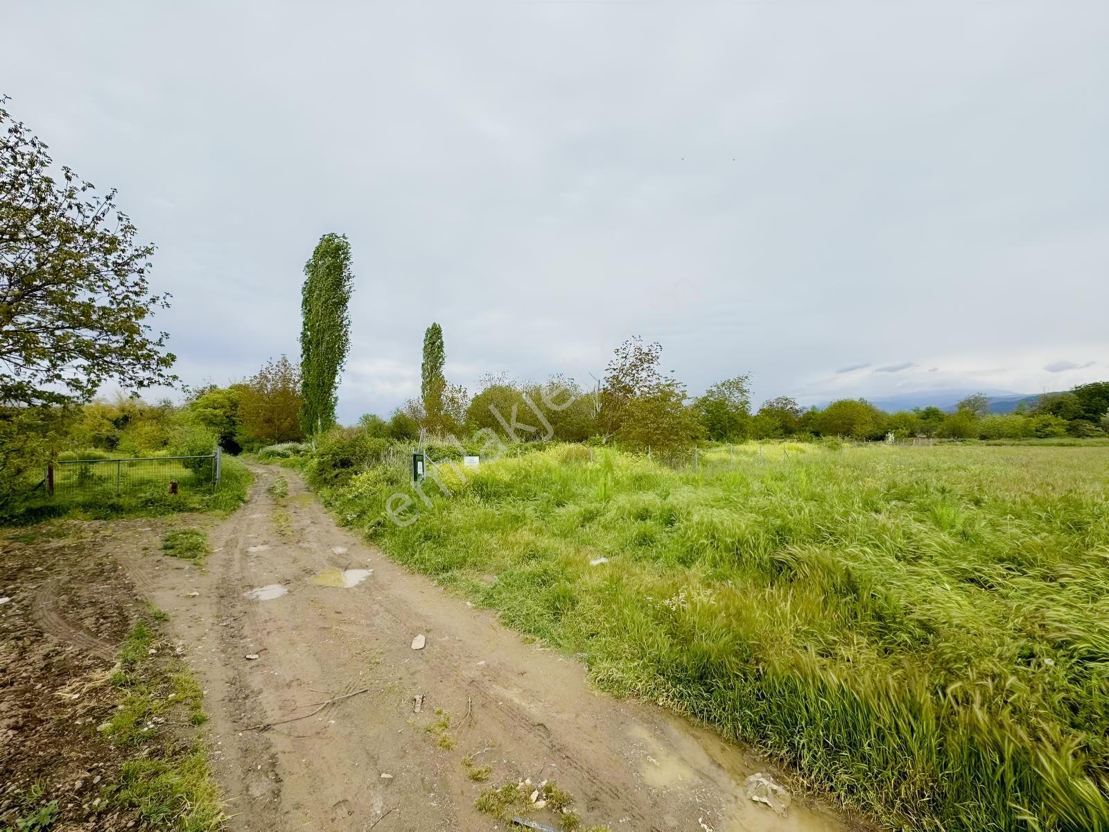 Kayapa İstiklalde Satılık 2845 M2 Tarla - Görsel 2
