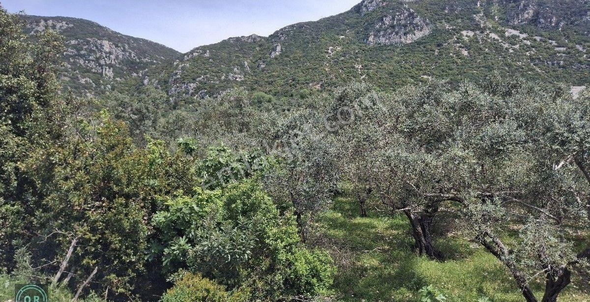 Defne Dursunlu Mah 3 Kat Konut İmarlı Yatırımlık Satılık Arsa - Görsel 12