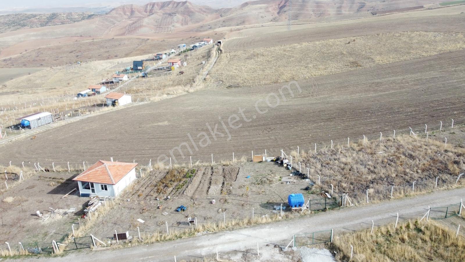 Yol Kenarı Manzaralı Havaalanı Yakını 500 Metre Tapulu Bahçe - Görsel 4