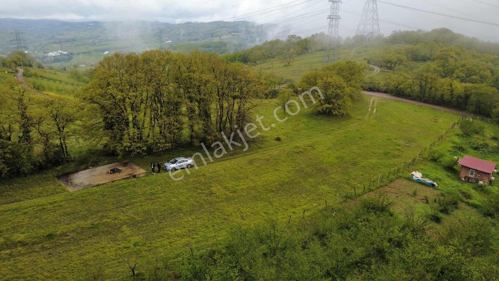 Yoldaş Emlaktan Kandıra Nasuhlar Mah 4.056 M2 Satılık Tarla - Görsel 4