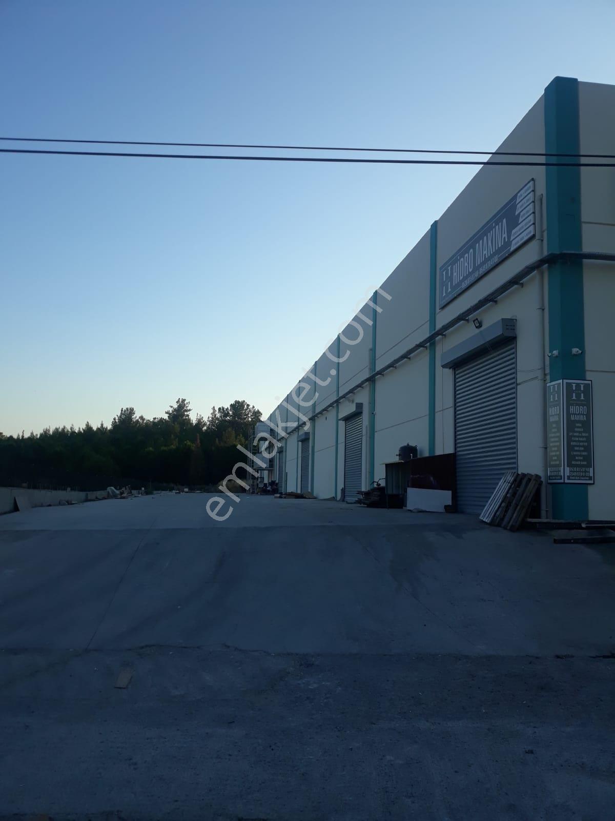 Muğla Menteşe Bayır Ticaret Merkezinde Kiralık İşyeri-dükkan-depo - Görsel 3