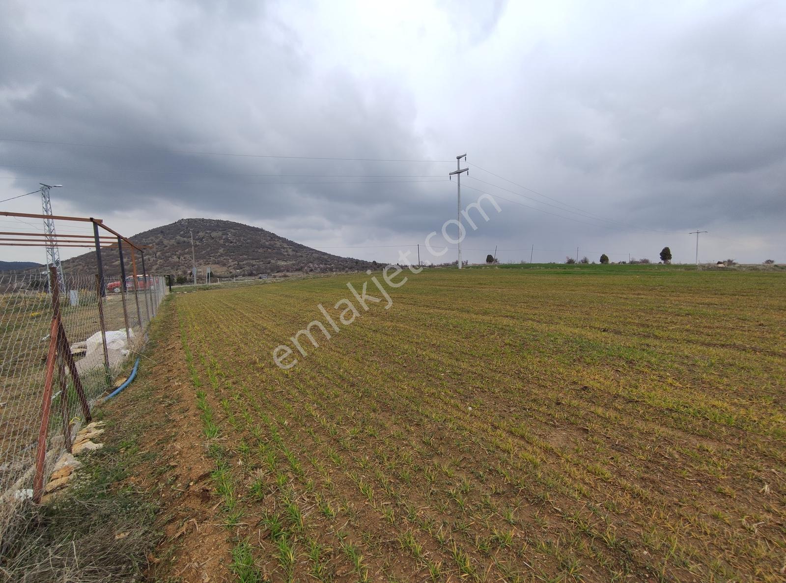 Özpınar,dan 31 000 M2 Bahçe Konteyner Evli Yeniceköy Yolu Kenarı - Görsel 30