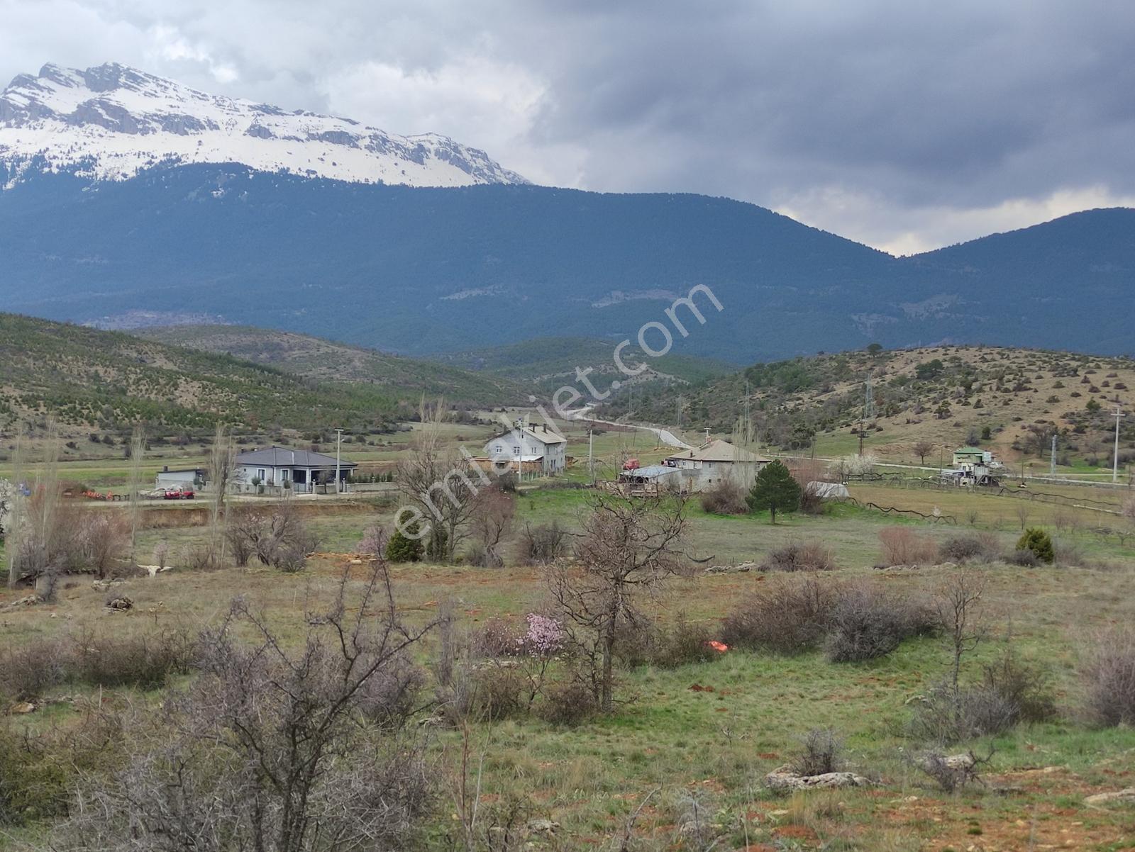 Özpınar,dan 31 000 M2 Bahçe Konteyner Evli Yeniceköy Yolu Kenarı - Görsel 11