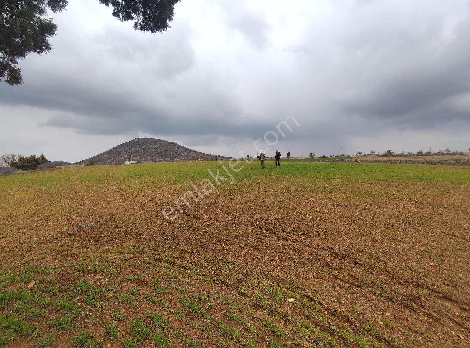 Özpınar,dan 31 000 M2 Bahçe Konteyner Evli Yeniceköy Yolu Kenarı - Görsel 20