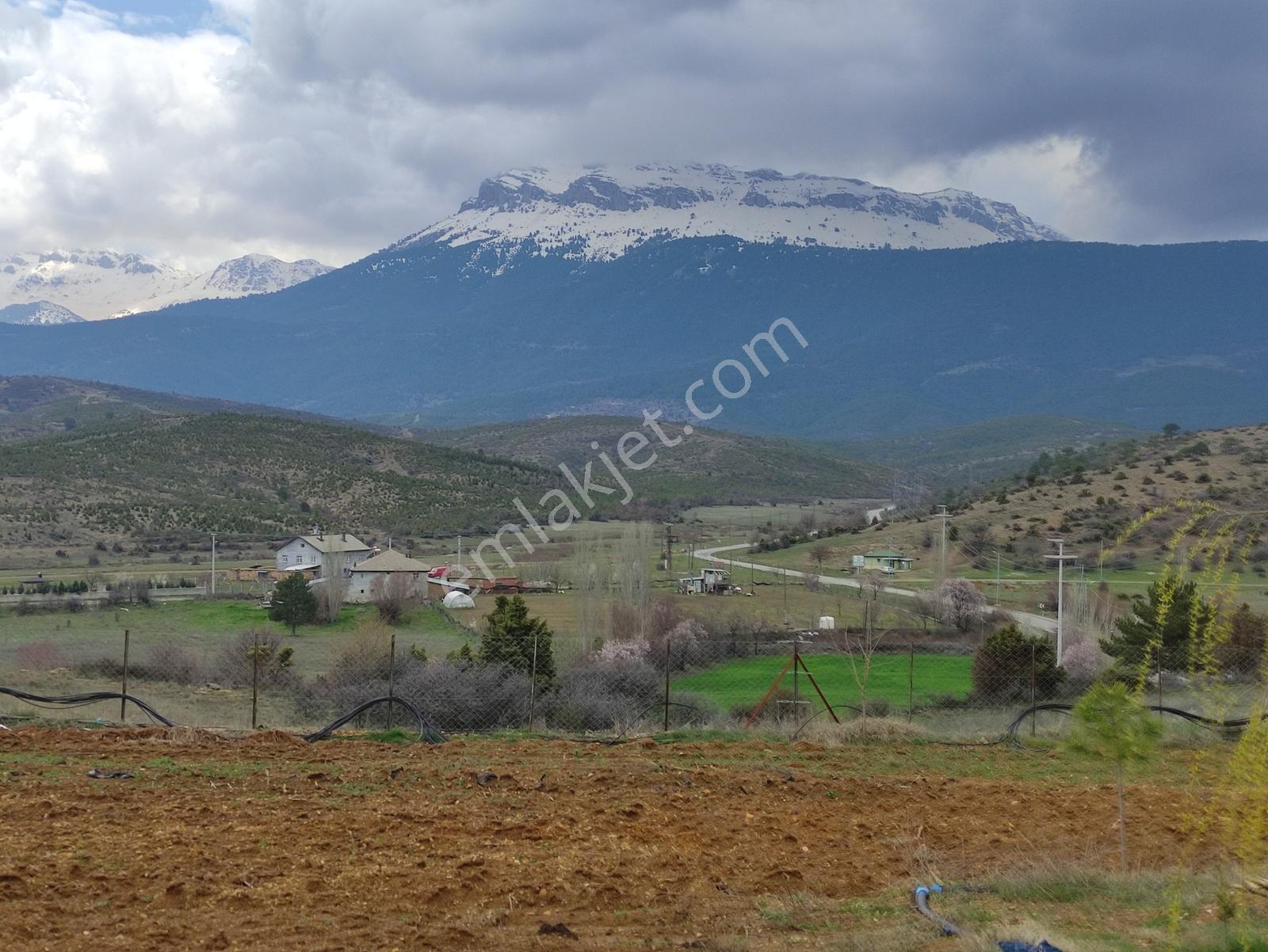 Özpınar,dan 31 000 M2 Bahçe Konteyner Evli Yeniceköy Yolu Kenarı - Görsel 31