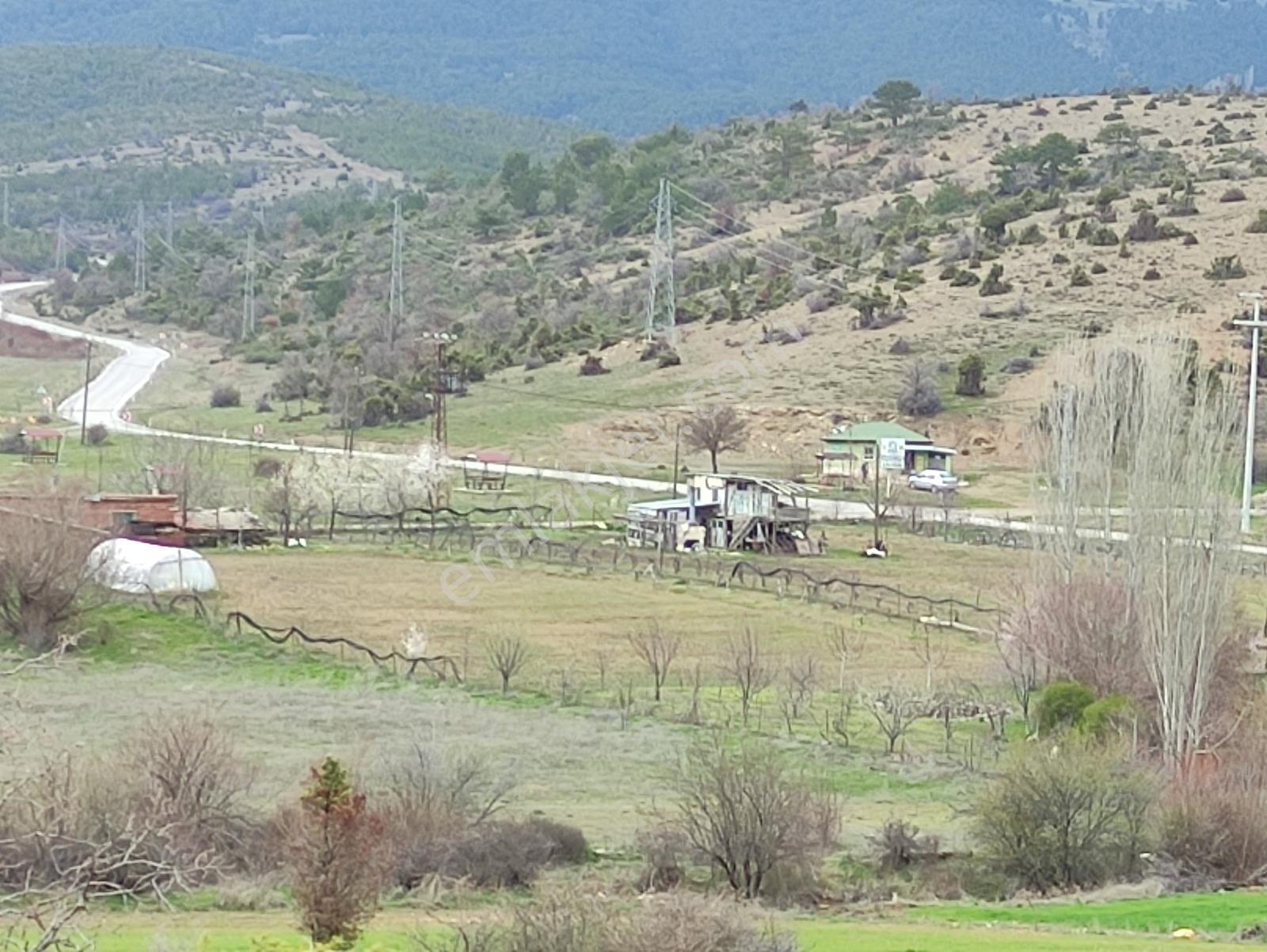 Özpınar,dan 31 000 M2 Bahçe Konteyner Evli Yeniceköy Yolu Kenarı - Görsel 9