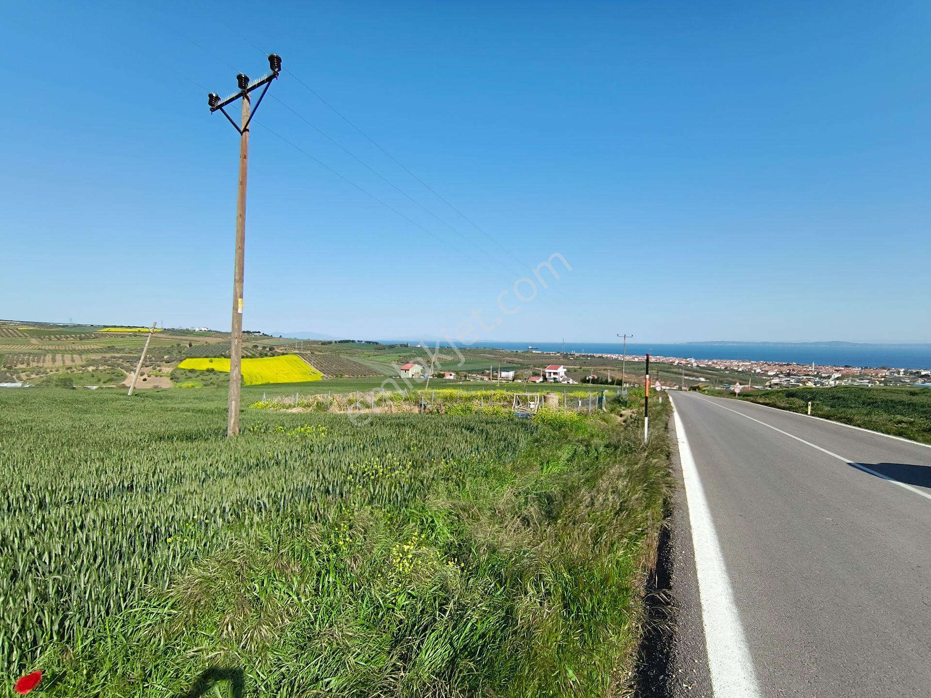 Bulut Yatırımdan 210 M² Deniz Manzaralı Tarladan Hisse Olarak Satılık Hobi Bahçesi - Görsel 23