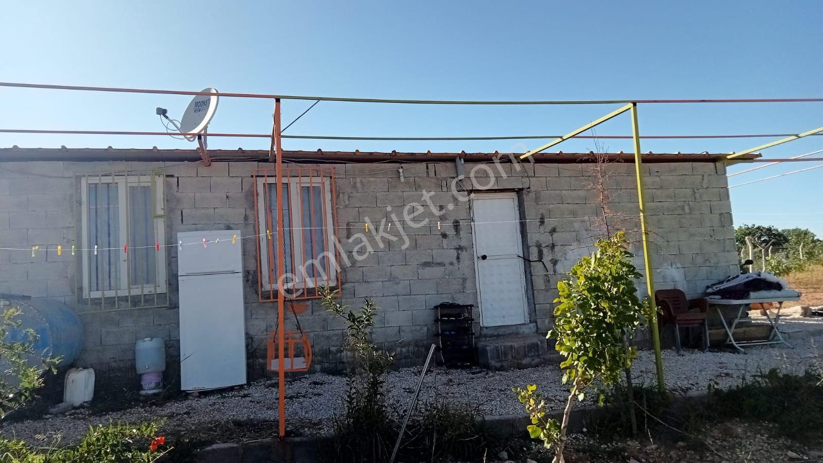 Baluca'da Satılık Bağ Evi - Görsel 6