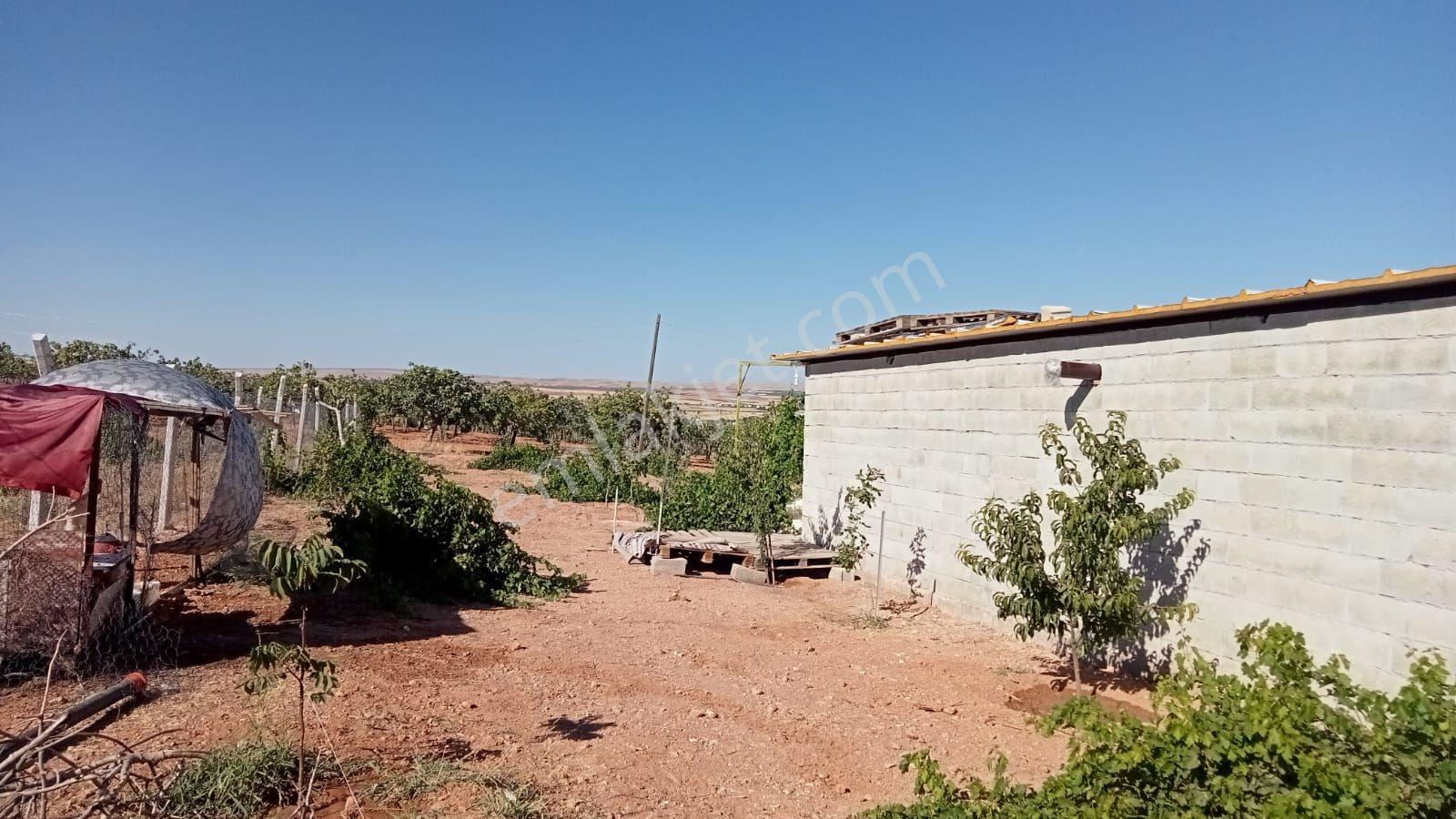 Baluca'da Satılık Bağ Evi - Görsel 12