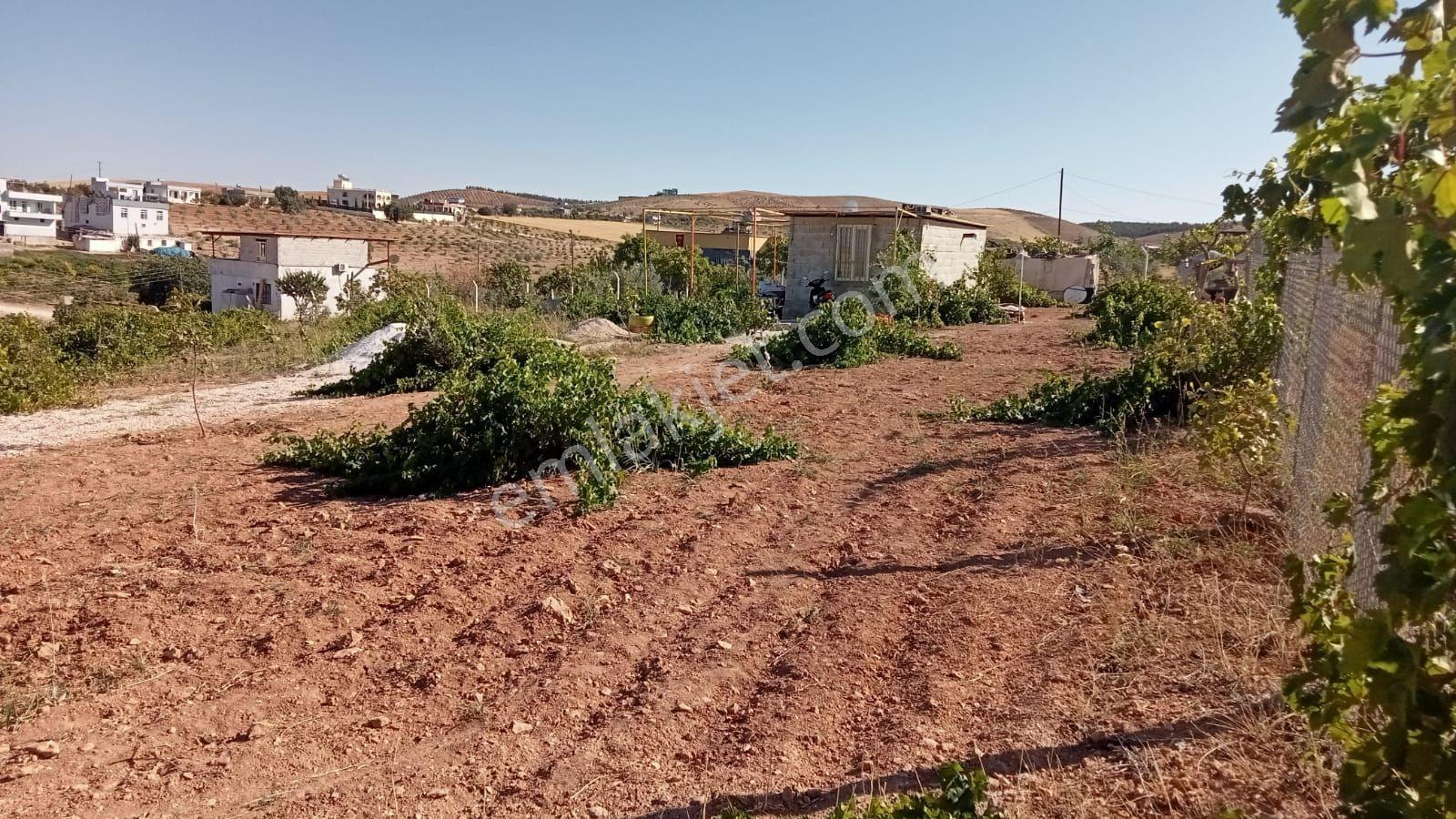 Baluca'da Satılık Bağ Evi - Görsel 15