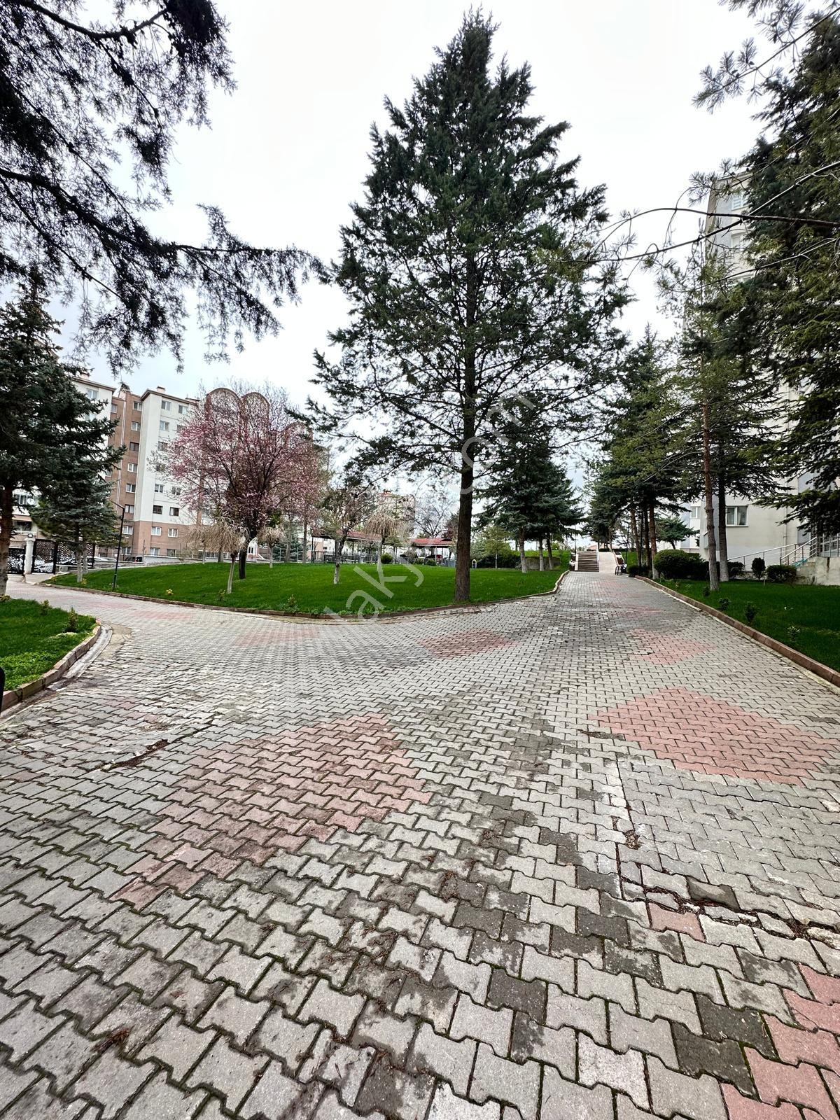Ulukan'dn Oğuzlar'da Geniş Peyzajlı Çocuk Parklı Site İçi 3+1 !! - Görsel 18