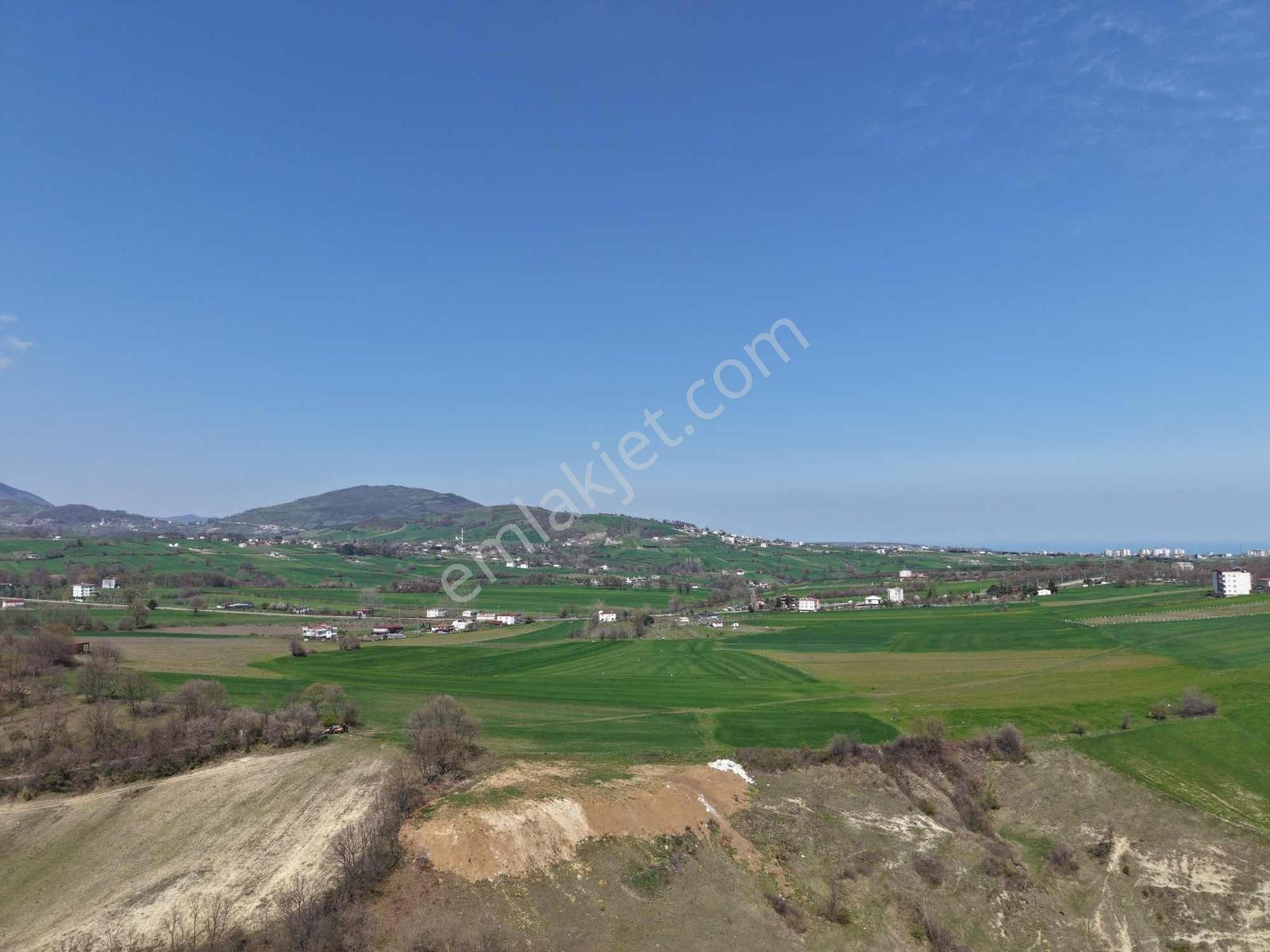 Alanlı Da Acil Satılık Full Deniz Manzaralı 7237 M2 Tarla - Görsel 9