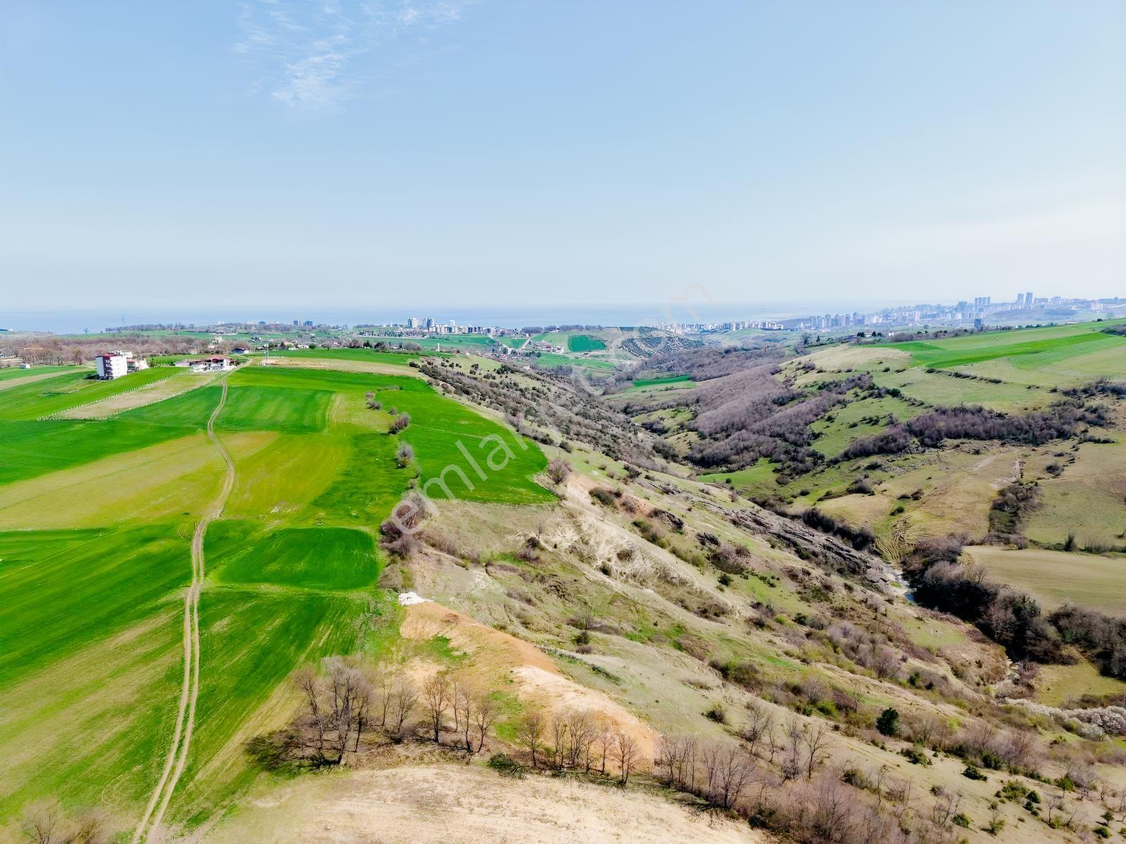 Alanlı Da Acil Satılık Full Deniz Manzaralı 7237 M2 Tarla