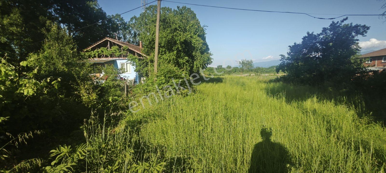 Anacadde Üstü İmarlı Tabela Değeri Olan Arsamız Satılıktır - Görsel 19