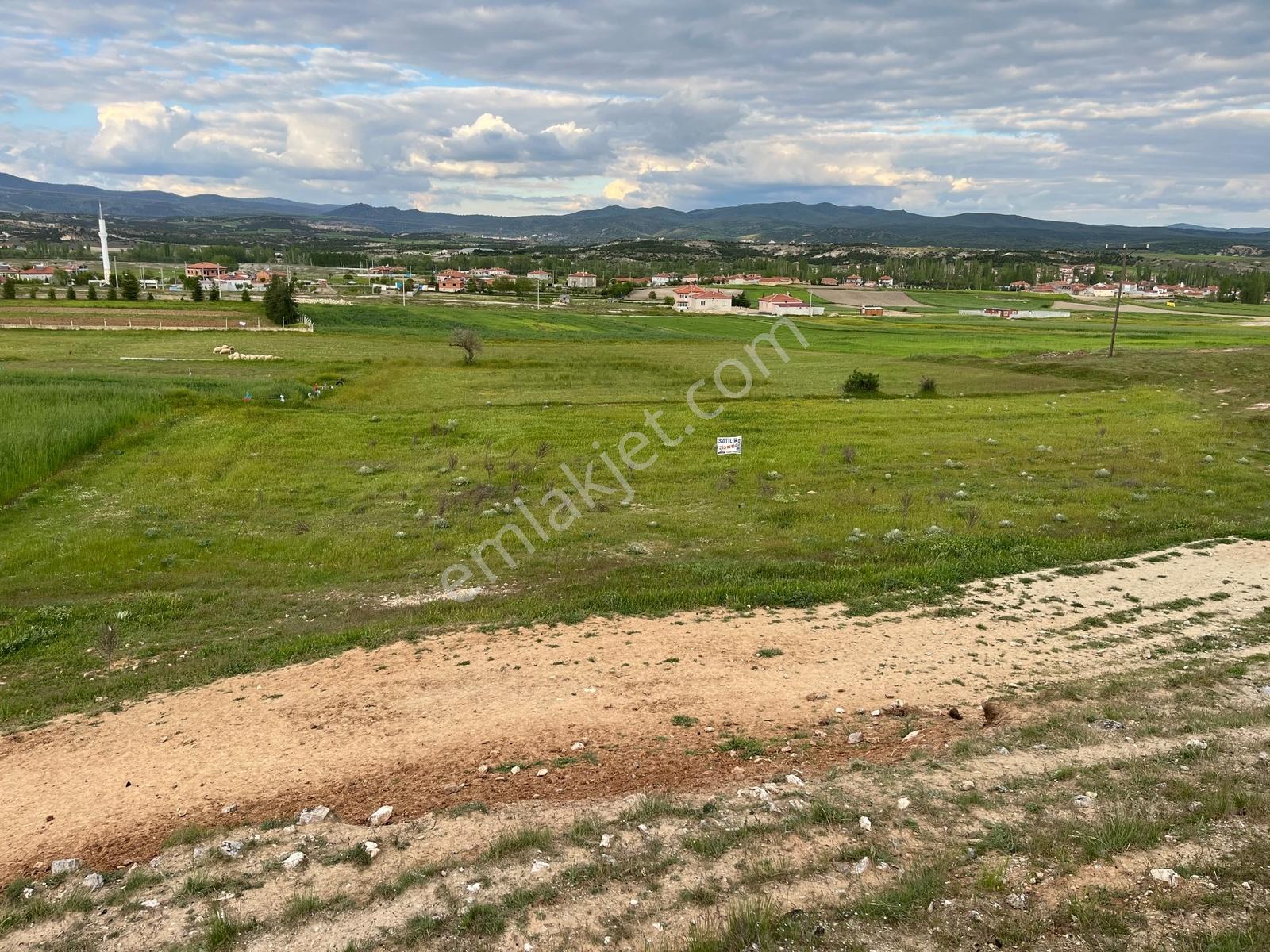 Afyon İhsaniye Kayıhanda Satılık 1250m² Prim Değeri Yüksek Tarla - Görsel 11