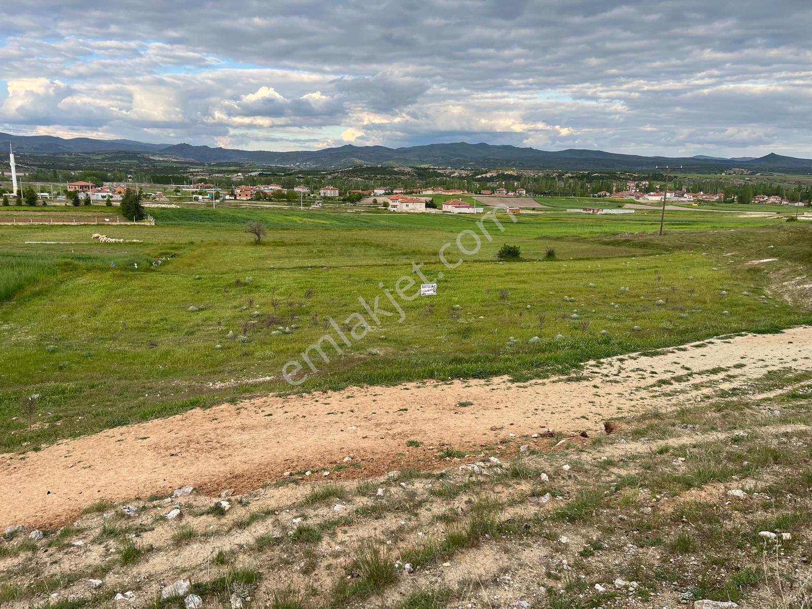 Afyon İhsaniye Kayıhanda Satılık 1250m² Prim Değeri Yüksek Tarla - Görsel 9