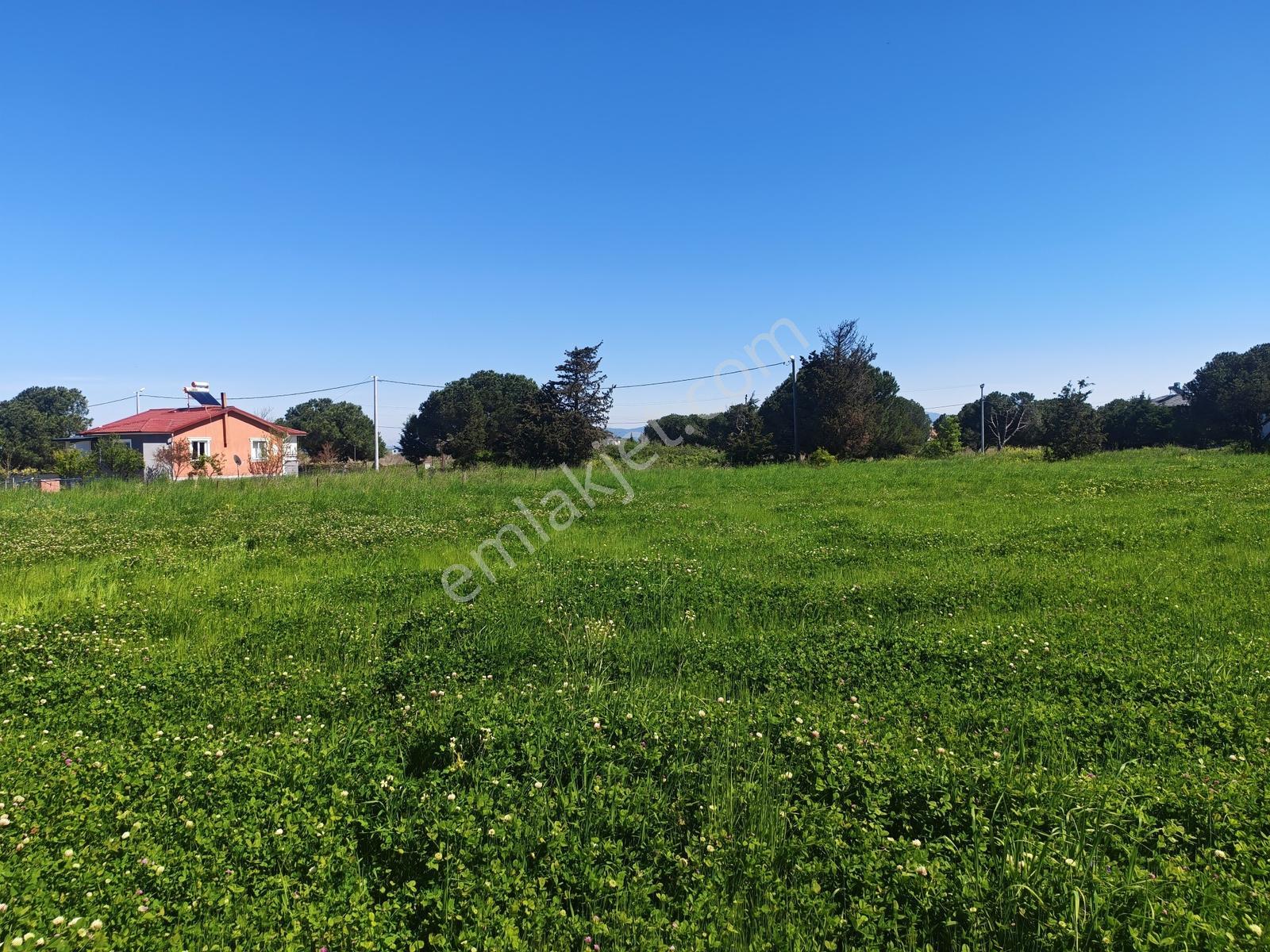547 M2 Villa Arsası Biga Çeşmealtında Denize Yakın Denize 1.2km - Görsel 14
