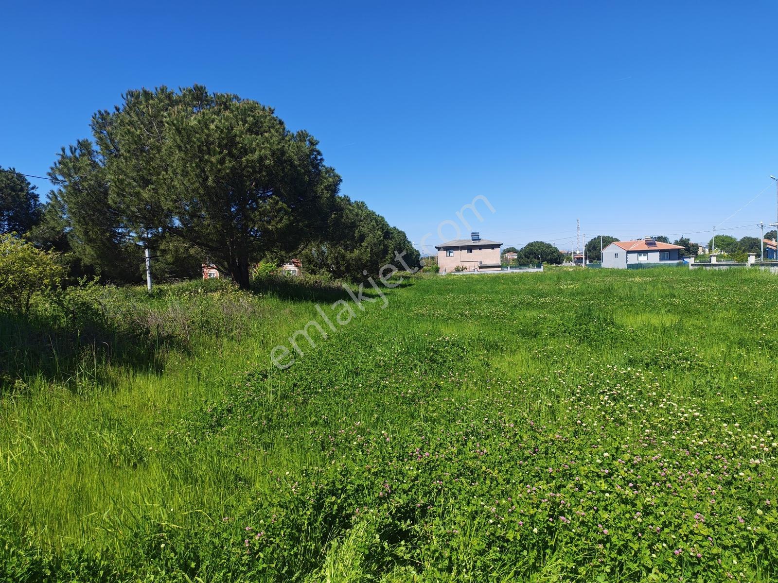 547 M2 Villa Arsası Biga Çeşmealtında Denize Yakın Denize 1.2km - Görsel 7