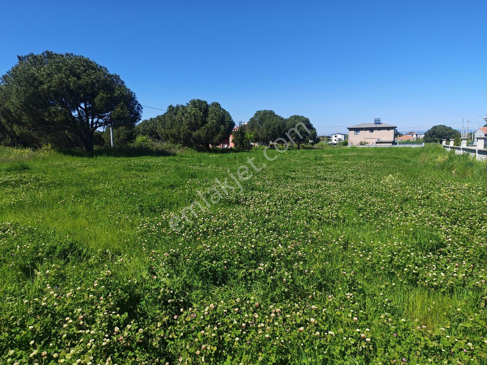 547 M2 Villa Arsası Biga Çeşmealtında Denize Yakın Denize 1.2km - Görsel 26