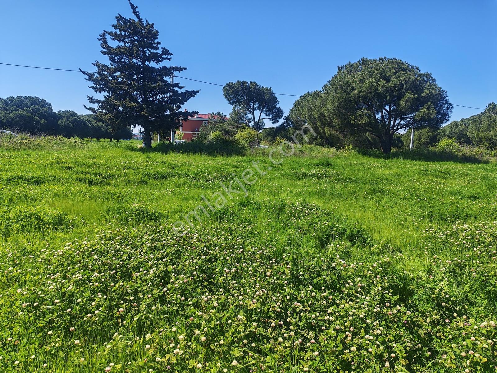 547 M2 Villa Arsası Biga Çeşmealtında Denize Yakın Denize 1.2km - Görsel 27
