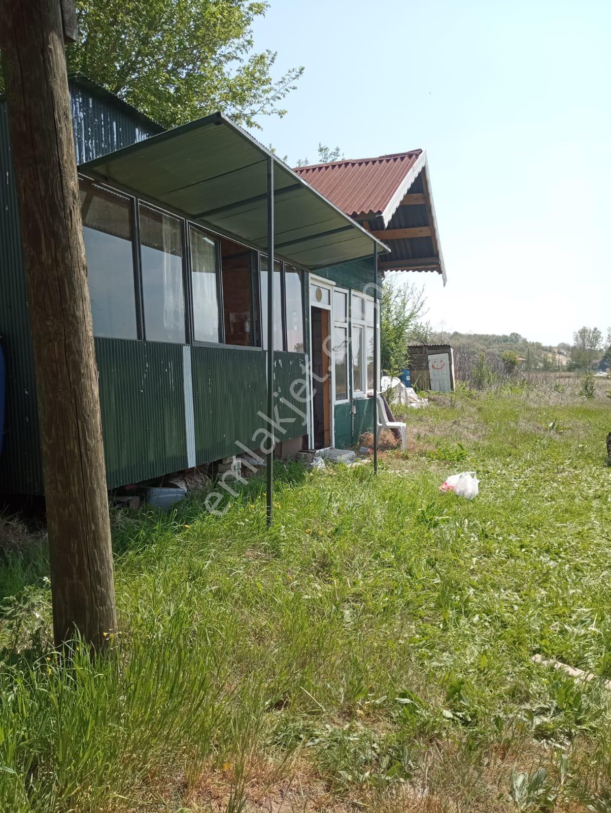 Poyralı'da İmara Yakın Asfalt Kenarı, Prefabrik Evli, 1500m² Müstakil Parsel - Görsel 3
