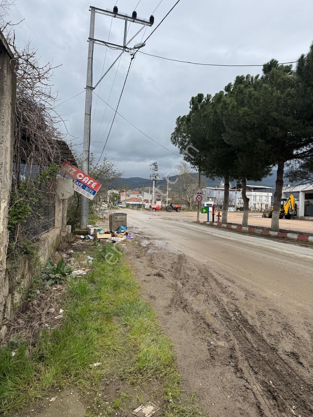 Kazıklının Girişinde Harika Şeftali Bahçesi - Görsel 9